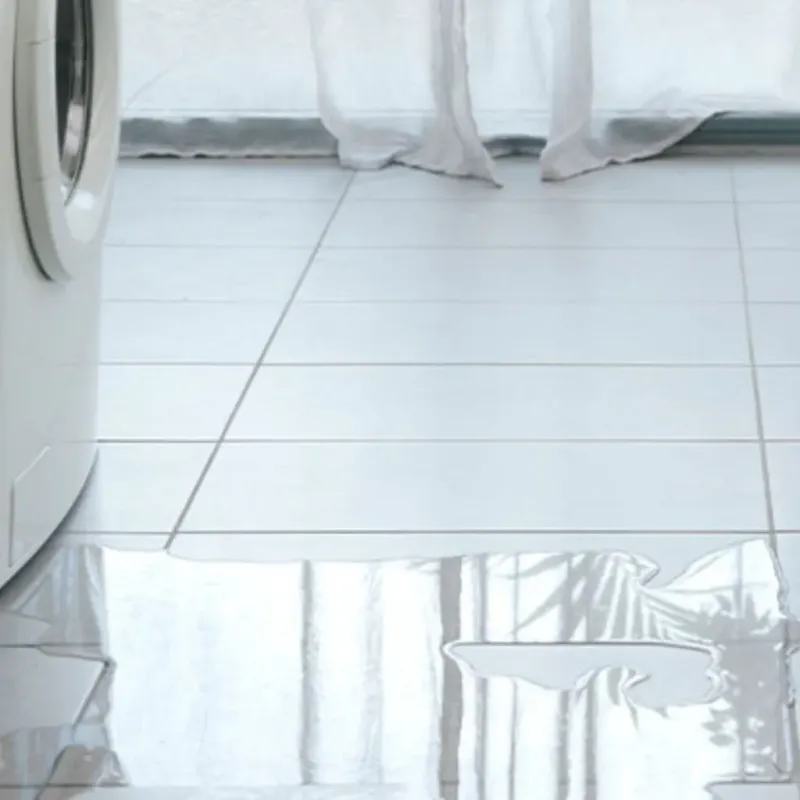Appliance Leak Cleanup in Troy, PA
