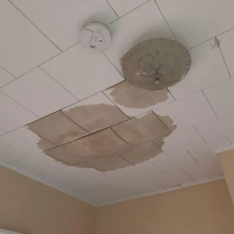 Ceiling Water Damage Repair in Troy, PA