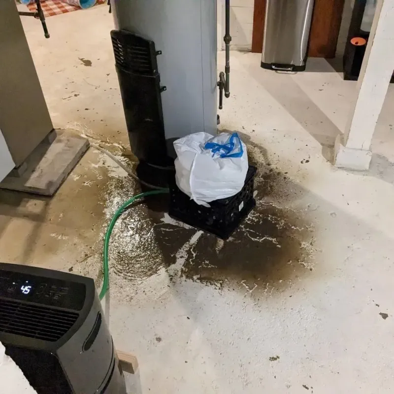 Sewage Backup Cleanup Service in Troy, PA